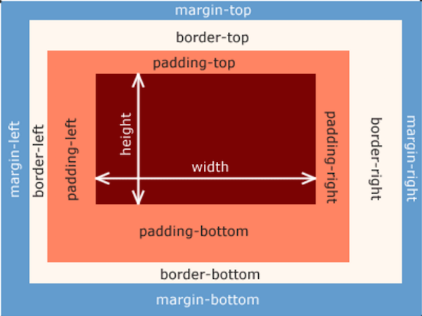 CSS Box Model